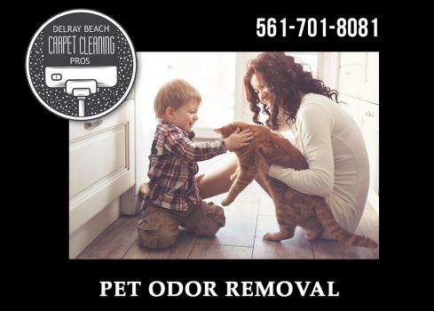 Delray Beach Carpet Cleaning Pros Image